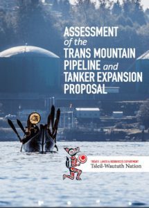 twn-assessment-summary