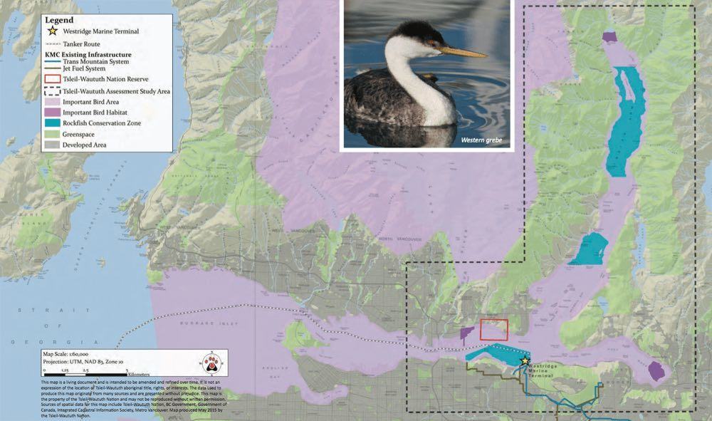 Map: Major salmon bearing rivers and streams